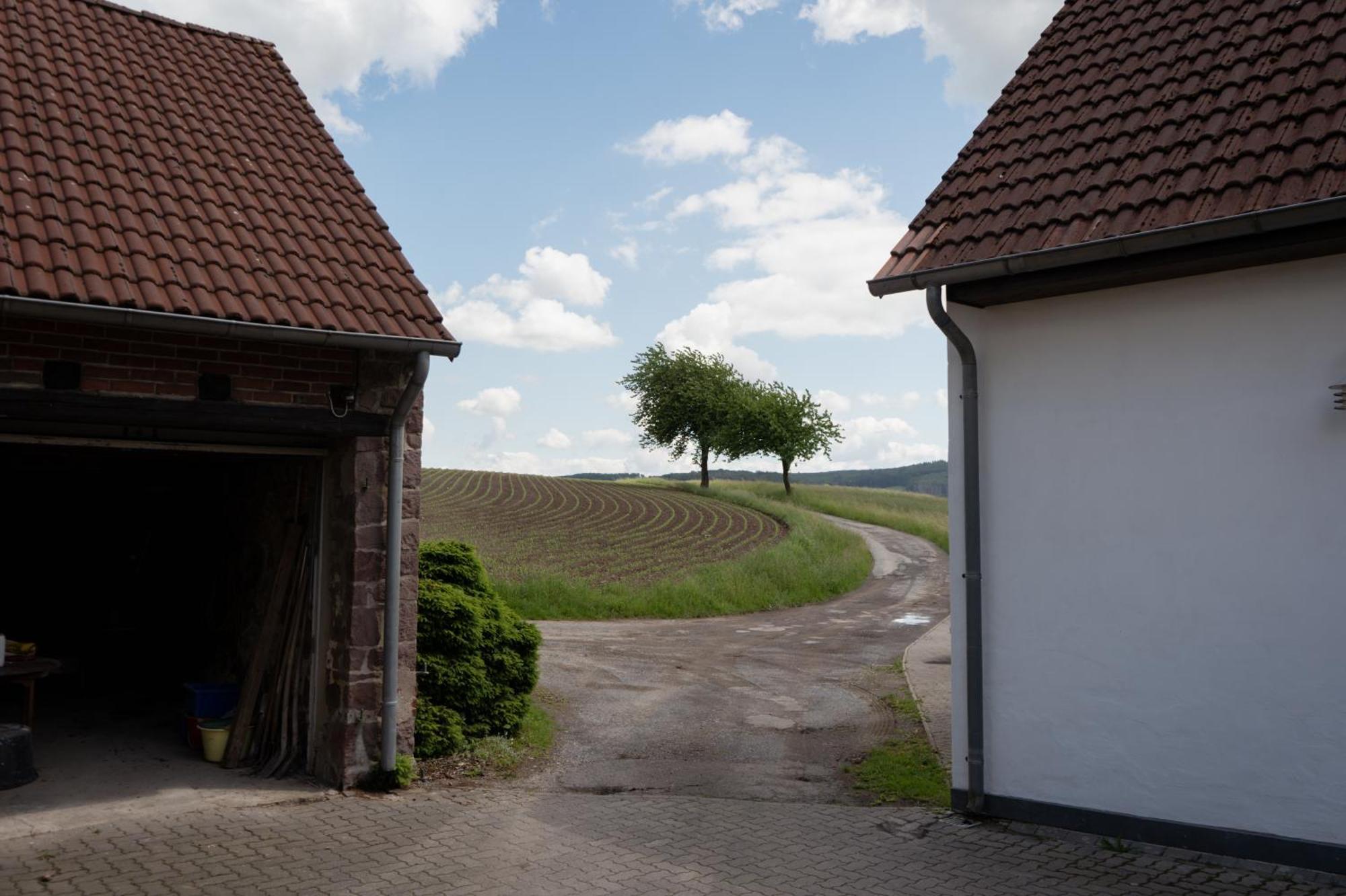 Idyllische Ferienwohnung Im Kalletal 외부 사진